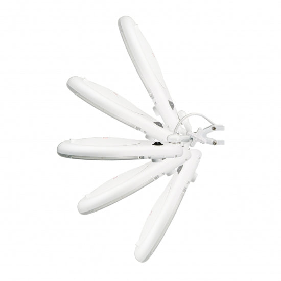 Lampada da tavolo a morsetto a Led PRYM - 610382
