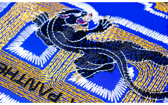 Brother Software Brother BE EmbroideryStudio Software da ricamo