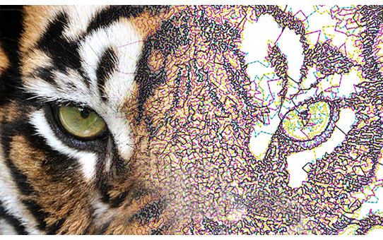 Brother Software Brother BE EmbroideryStudio Software da ricamo